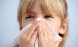 allergy-facts-and-myths