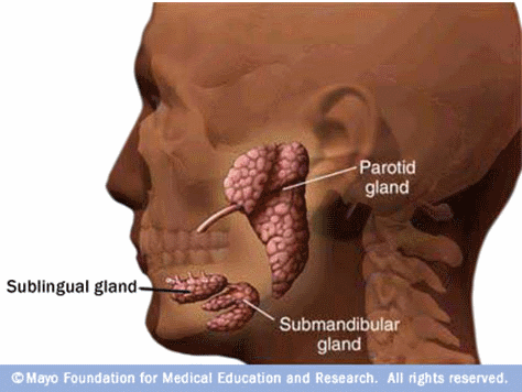 parotid-gland-surgery
