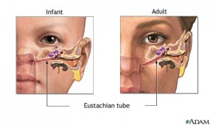 The Eustachian Tube Ent Clinic