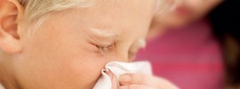 living-with-hay-fever