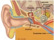 inner-ear-infection