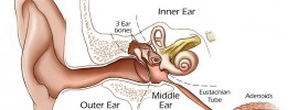 perforated-ear-drum
