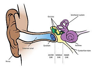 treating-chronic-ear